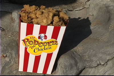 KFC Product Shot